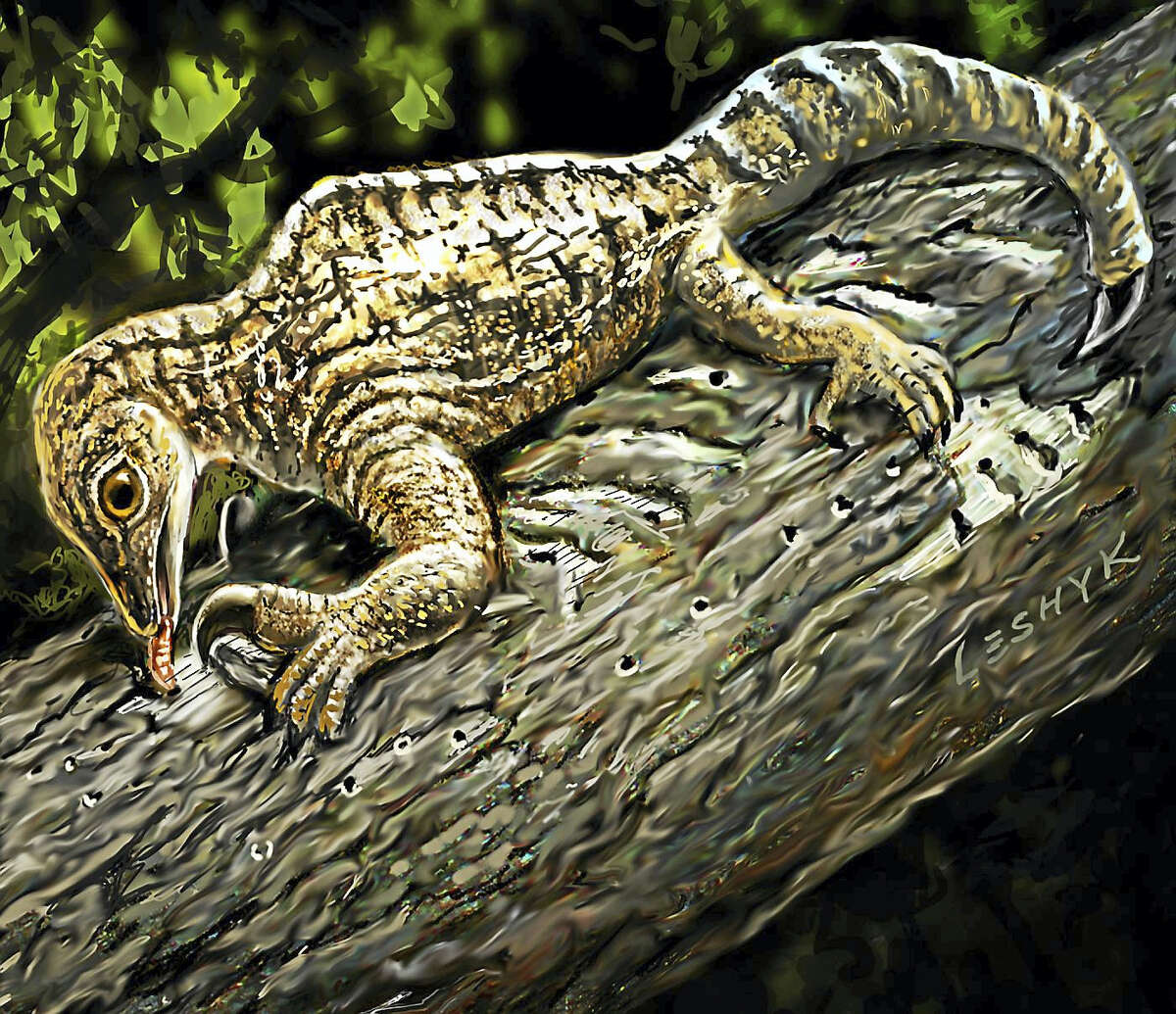 A painting of what Drepanosaurus might have looked like.