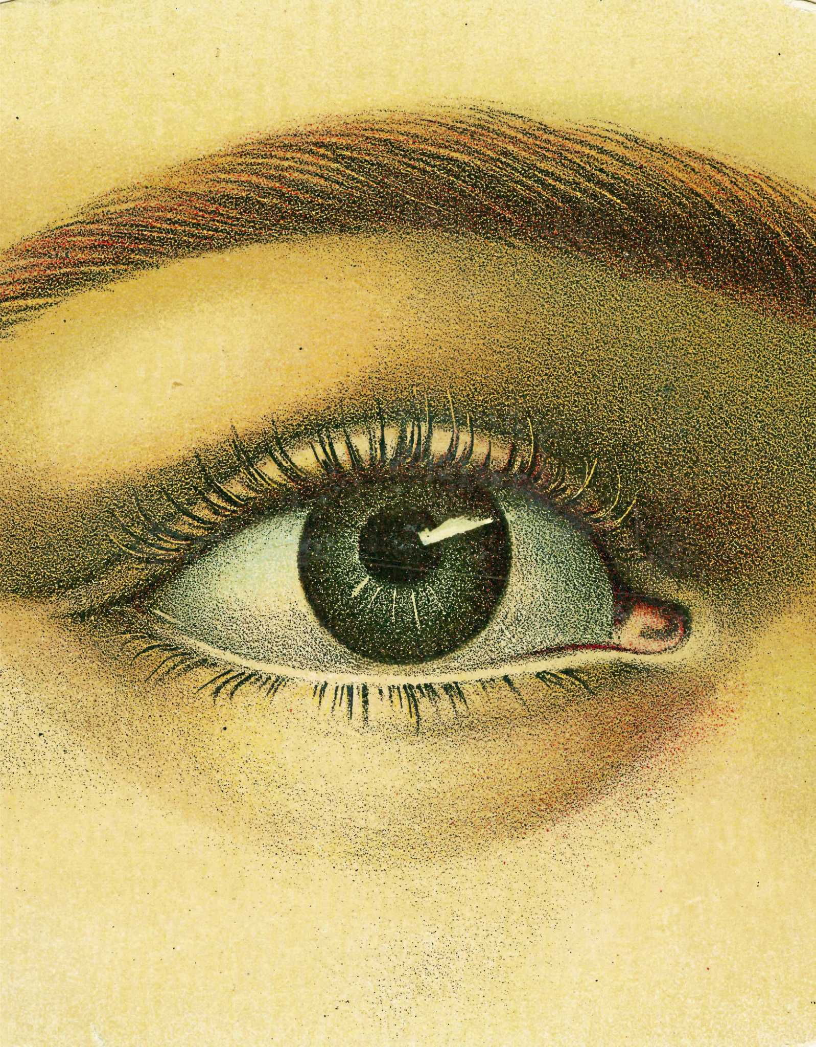 Pergola hosts colorful decoupage artist John Derian