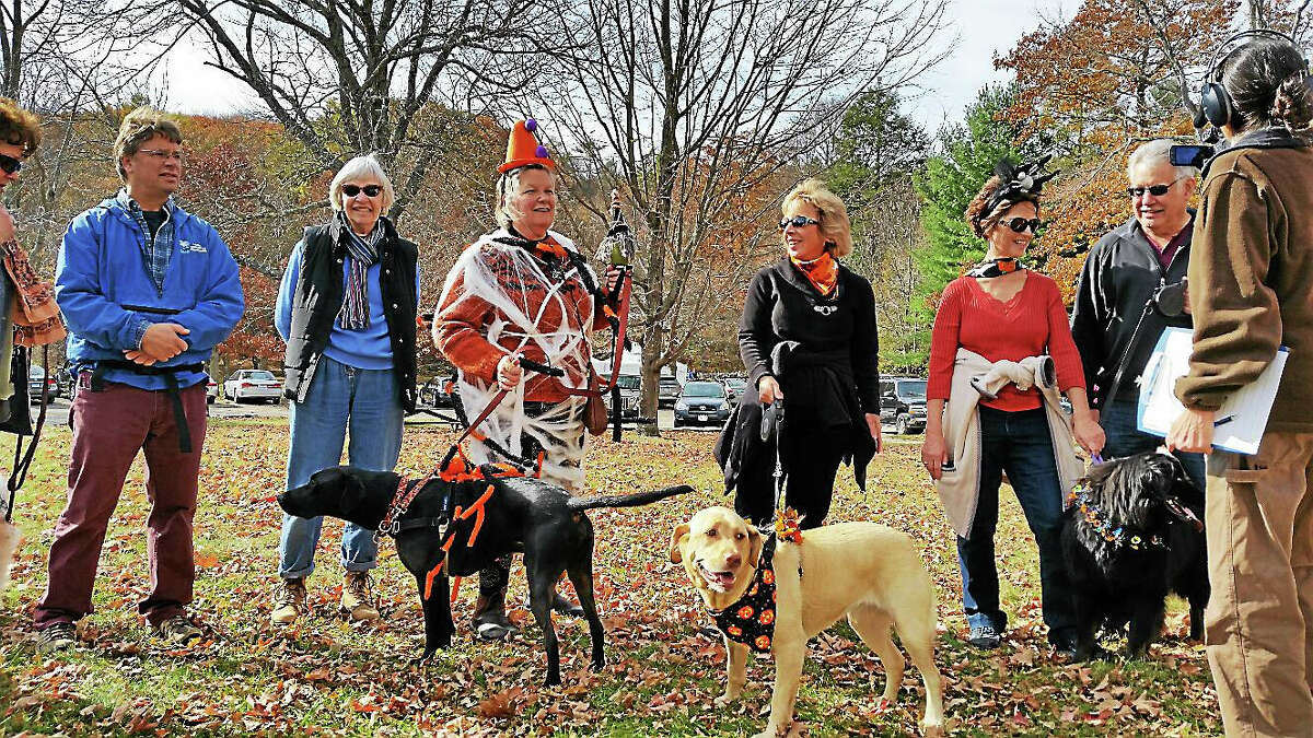 White Memorial Conservation Center Director Gerri Griswold (center, in costume) led 40 canine and human visitors (and her own Black Labrador, Bradley) on the first annual Spooky Walk at the Center at 80 Whitehall Road in Litchfield, on Saturday afternoon.