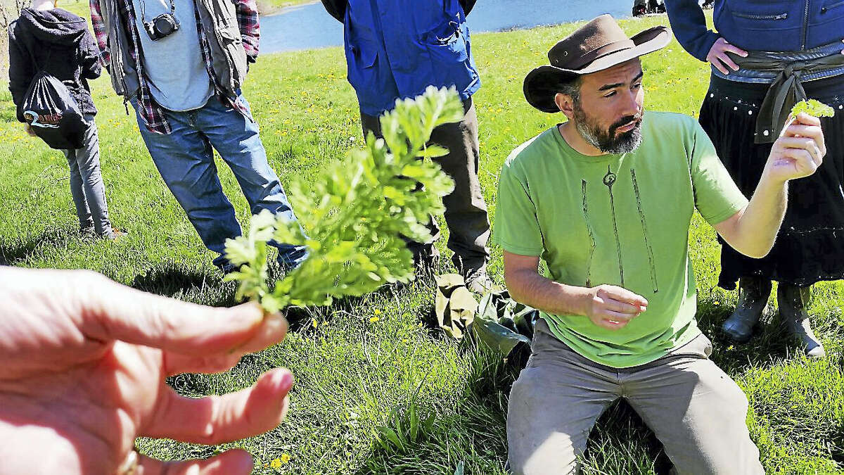 Andy Dobos shows the group a stem of Queen Anne’s lace, or wild carrot.