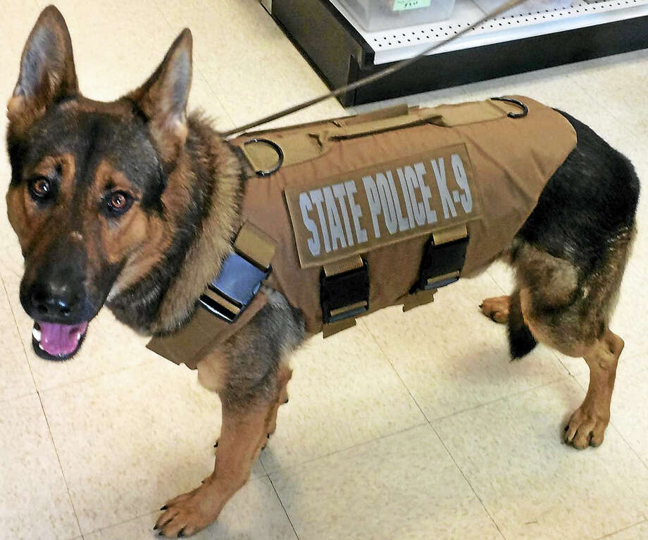 State Police Troop L K9 Tobi Gets Bulletproof Vest The Register Citizen