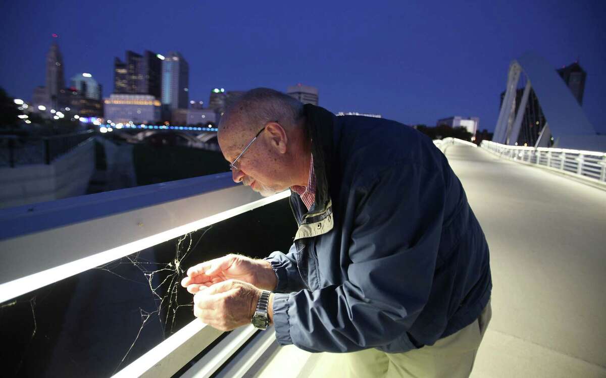 Ohio State University entomologist David Shetlar lifts one of the thousands of spiders that are living on the new Main Street bridge over the Scioto River in downtown Columbus, Ohio, on Oct. 19, 2015. He estimated that up to 5,000 spiders live there.