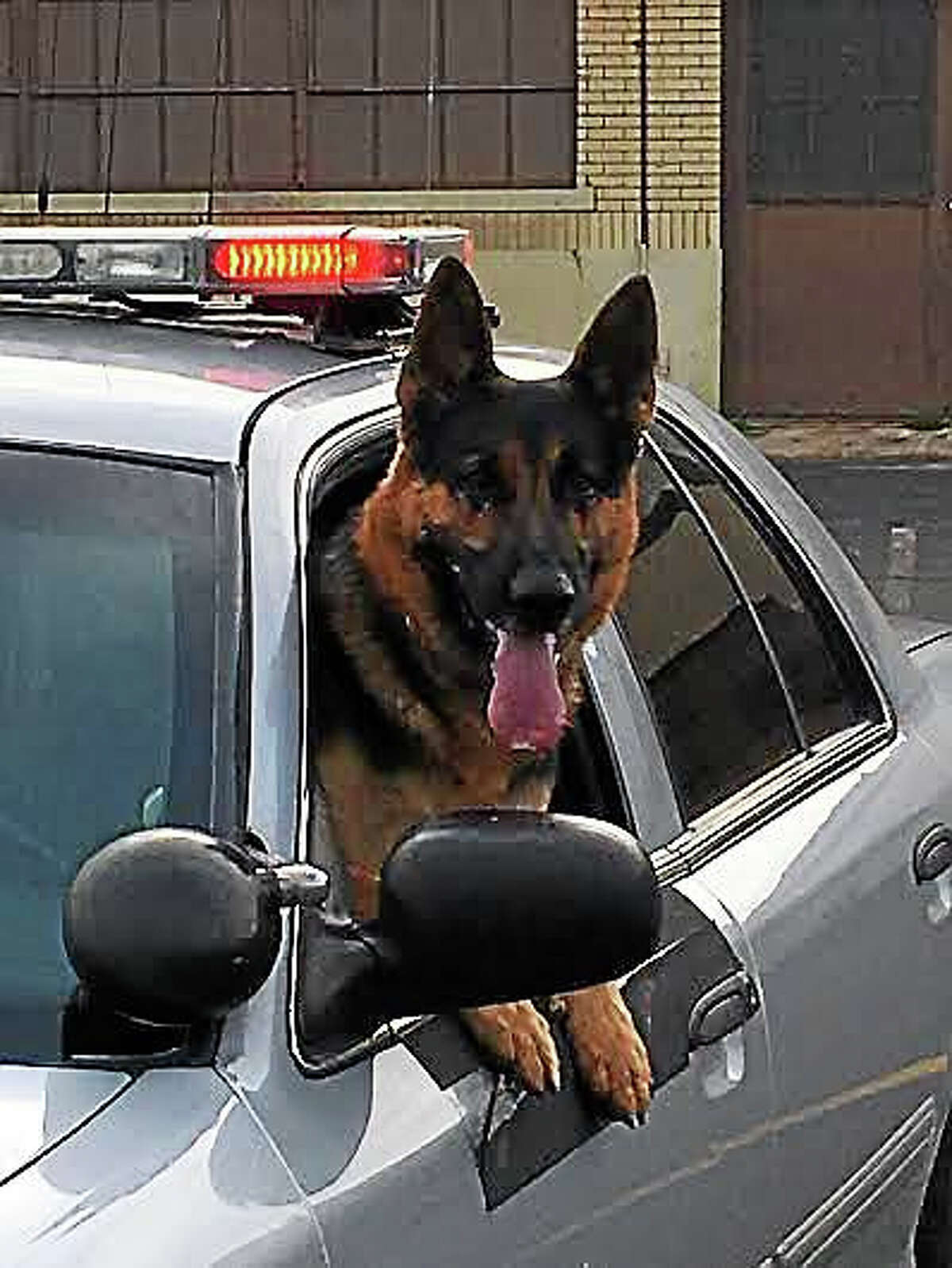 Most troopers won’t be taking along K-9 colleagues like Arek, pictured here.