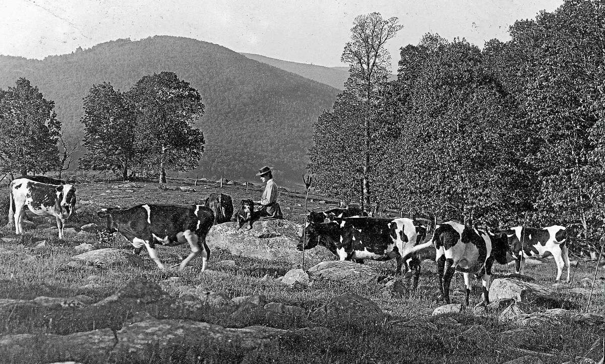 Contributed photos The history of dairy farming is depicted in photographs, records and artifacts at the Cornwall Historical Society's new exhibit, opening in late June.