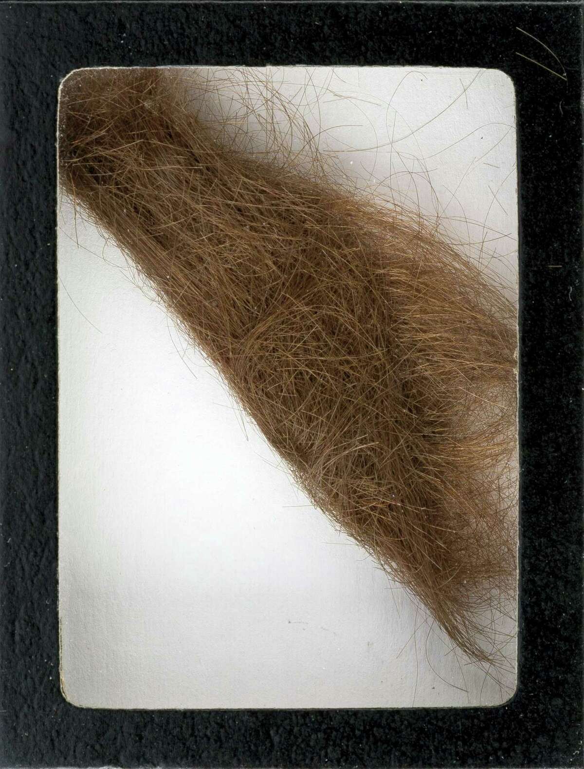 This photo provided by Heritage Auctions shows a 4-inch lock of hair that was collected by a German hairdresser who trimmed John Lennon’s hair before he started shooting “How I Won the War.” Heritage Auctions says the lock of hair is expected to sell for $10,000 at a Dallas auction later this month.