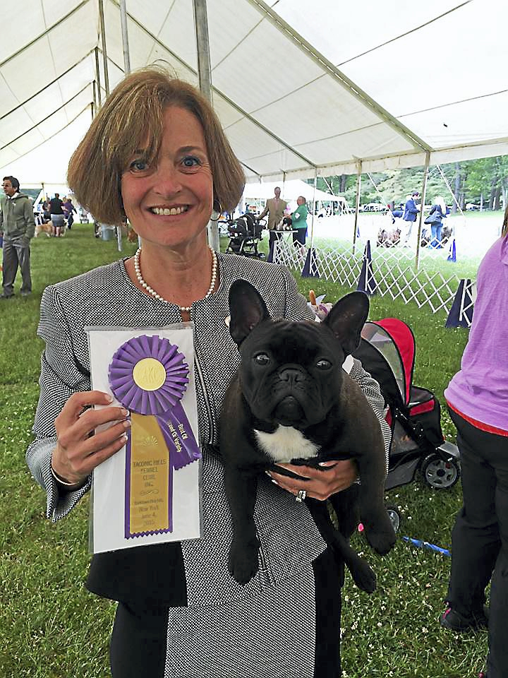 Litchfield resident to compete at 140th annual Westminster Kennel Club