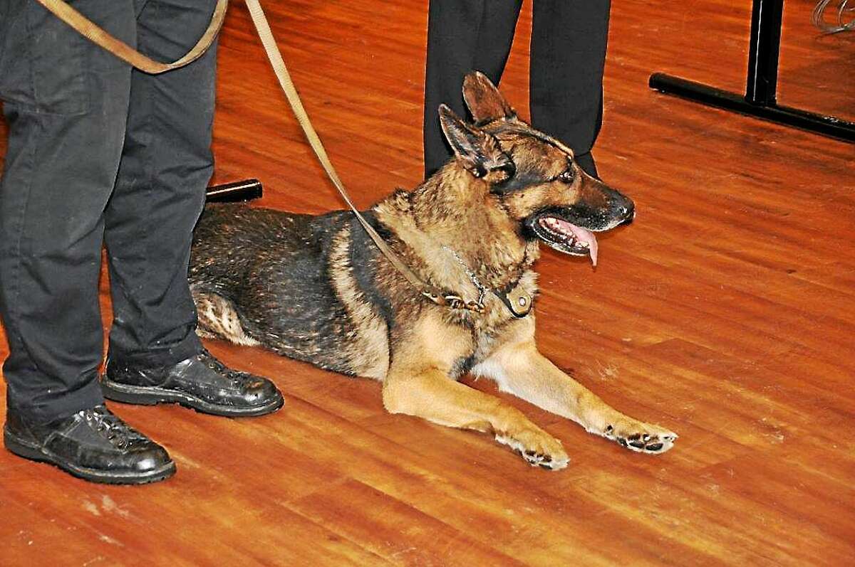 K-9 Brodie is retiring after 10 years of service to the Torrington Police Department.