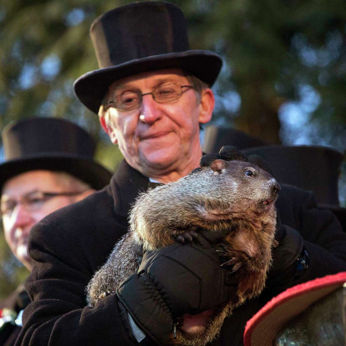 Handler Ron Ploucha holds up Punxsutawney Phil during the annual celebration of Groundhog Day on Gobbler’s Knob in Punxsutawney, Pa., Tuesday, Feb. 2, 2016. The handlers say the furry rodent failed to see his shadow at dawn Tuesday, meaning he “predicted” an early spring.