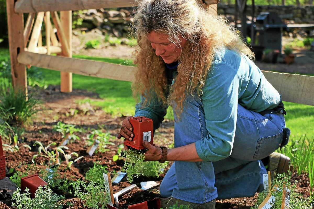 Nancy Stuart, assistant cooking school director, works on an herb garden outside of the Silo.