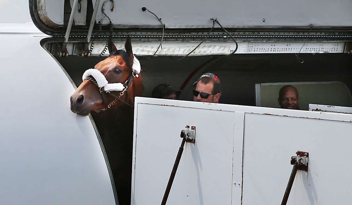 American Pharoah peeks out of the plane after landing at the Atlantic City International Airport on Wednesday.