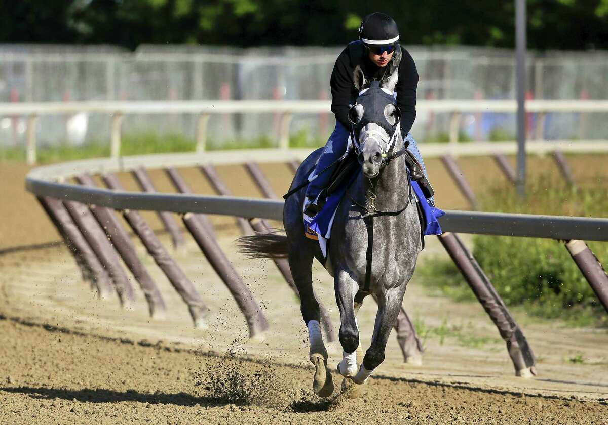 Belmont Stakes hopeful Destin gallops around the training track at Belmont Park Thursday. The New Haven Register’s Dan Nowak likes Destin in the 148th running of the Belmont Stakes horse race on Saturday.