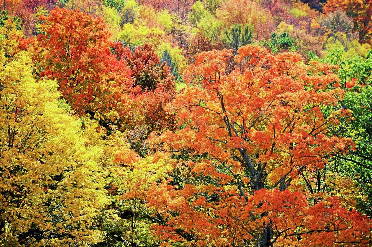 Lenox Mountain (as seen from Richmond) offers spectacular fall colors, Wednesday, Oct. 14, 2015. Bwen Garver — The Berkshire Eagle