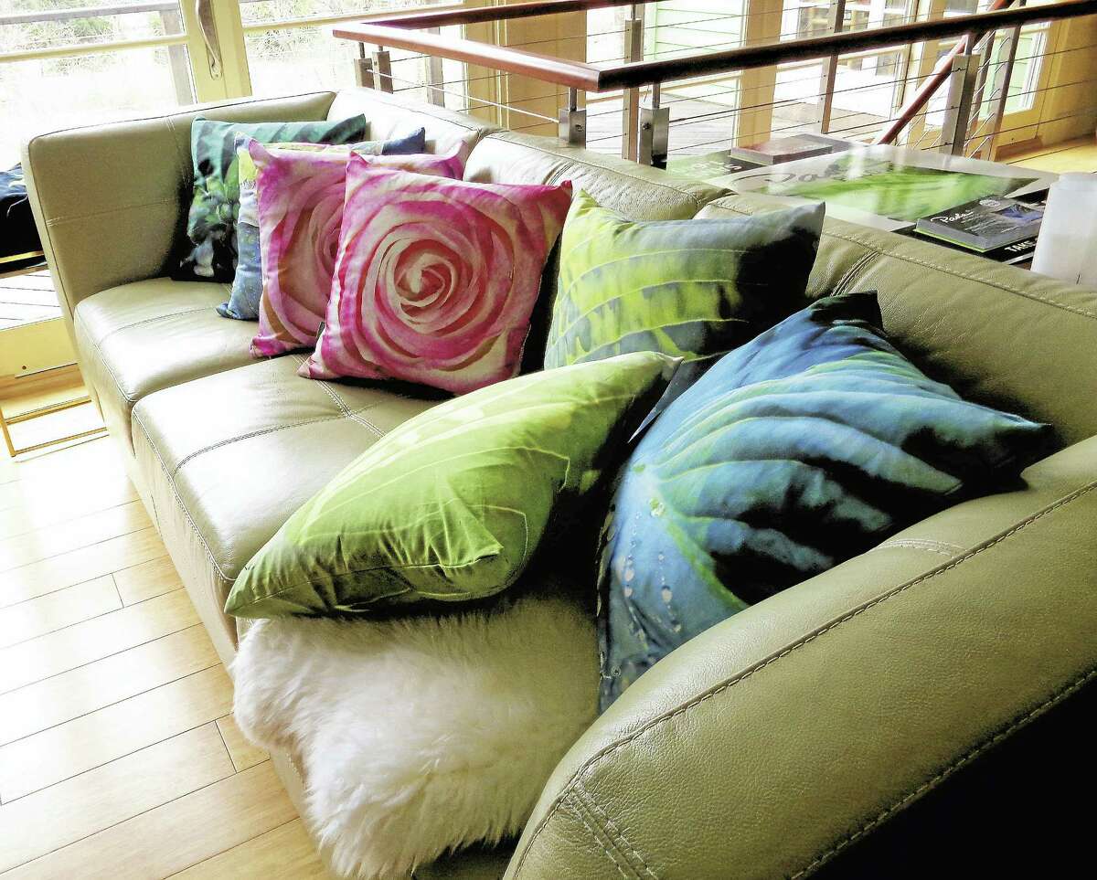 Paola Prints pillows come in a variety of color palettes.