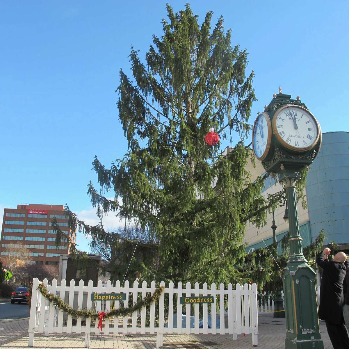 FILE - In this Dec. 12, 2014 file photo City Councilman Jeff Waltman photographs the city’s official Christmas tree in Reading, Pa. A year after its scraggly “Charlie Brown” Christmas tree caused an uproar,the city is putting up a more traditional tannenbaum this holiday season. The official Christmas tree in Reading will be a pleasingly plump, 25-foot-tall white fir, cut down on Monday, Nov. 9, 2015.