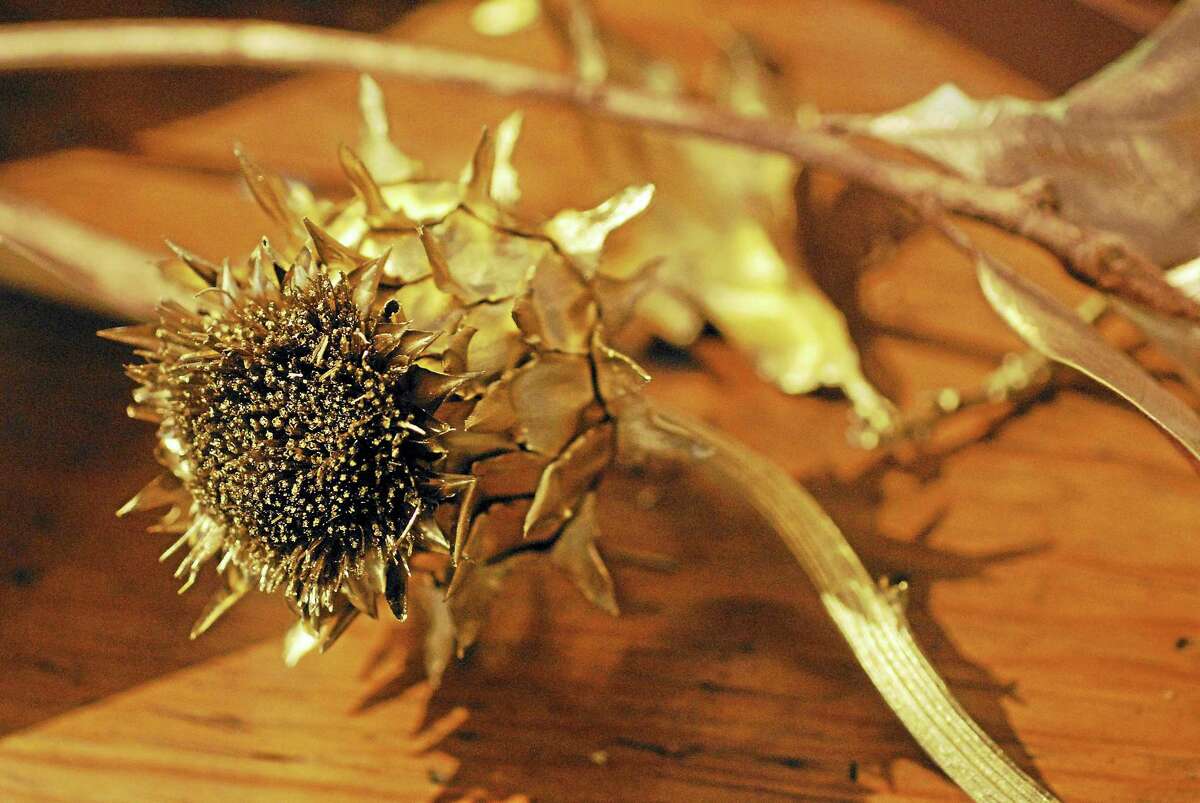 Photos by Tovah Martin A gilded thistle flower.