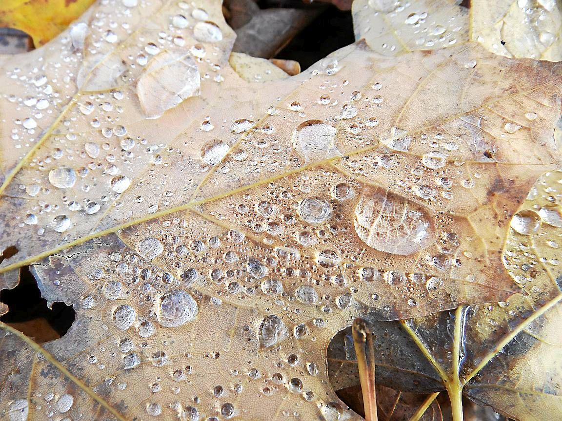 Litchfield library gallery features photographs by Emily Kennedy