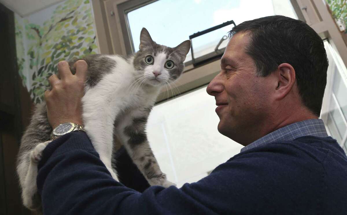 Dr. Gary Weitzman, president and CEO of the San Diego Humane Society and SPCA and author of the new National Geographic book ìHow to Speak Cat, has a word with Wesley, a resident of Humane Society shelter Wednesday, April 8, 2015, in San Diego. (AP Photo/Lenny Ignelzi)