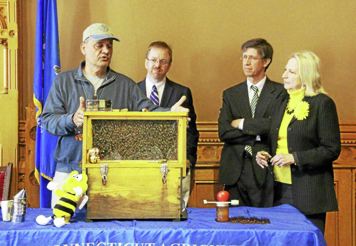 State Rep. Roberta Willis, right, looks on as state Bee Inspector Mark Creighton, left, shows off his beehive at a recent Capitol press conference. Willis joined colleagues and advocates in support of a bill that would better protect Connecticut’s pollinators. There is growing concern in the state over the loss of bee colonies in the state.