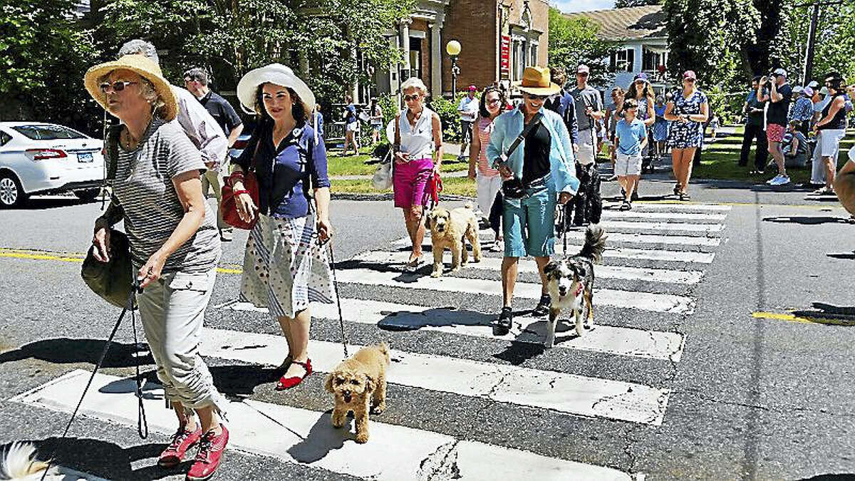 Fifty dogs, plus a cat, a rabbit, and one stuffed animal, attended the the 17th annual Litchfield Historical Society’s Pet Parade and Turn-of-the-Century Fest at the Litchfield Town Green Monday afternoon. The mostly-canine contestants won ribbons while their owners and children had ice cream and played old-fashioned lawn games.