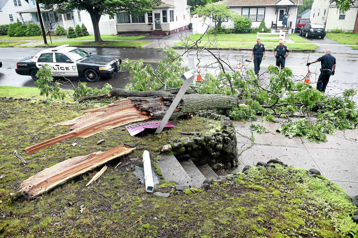 West Haven Police place cones around a downed tree at the corner of Kelsey Avenue and Church Street Tuesday.