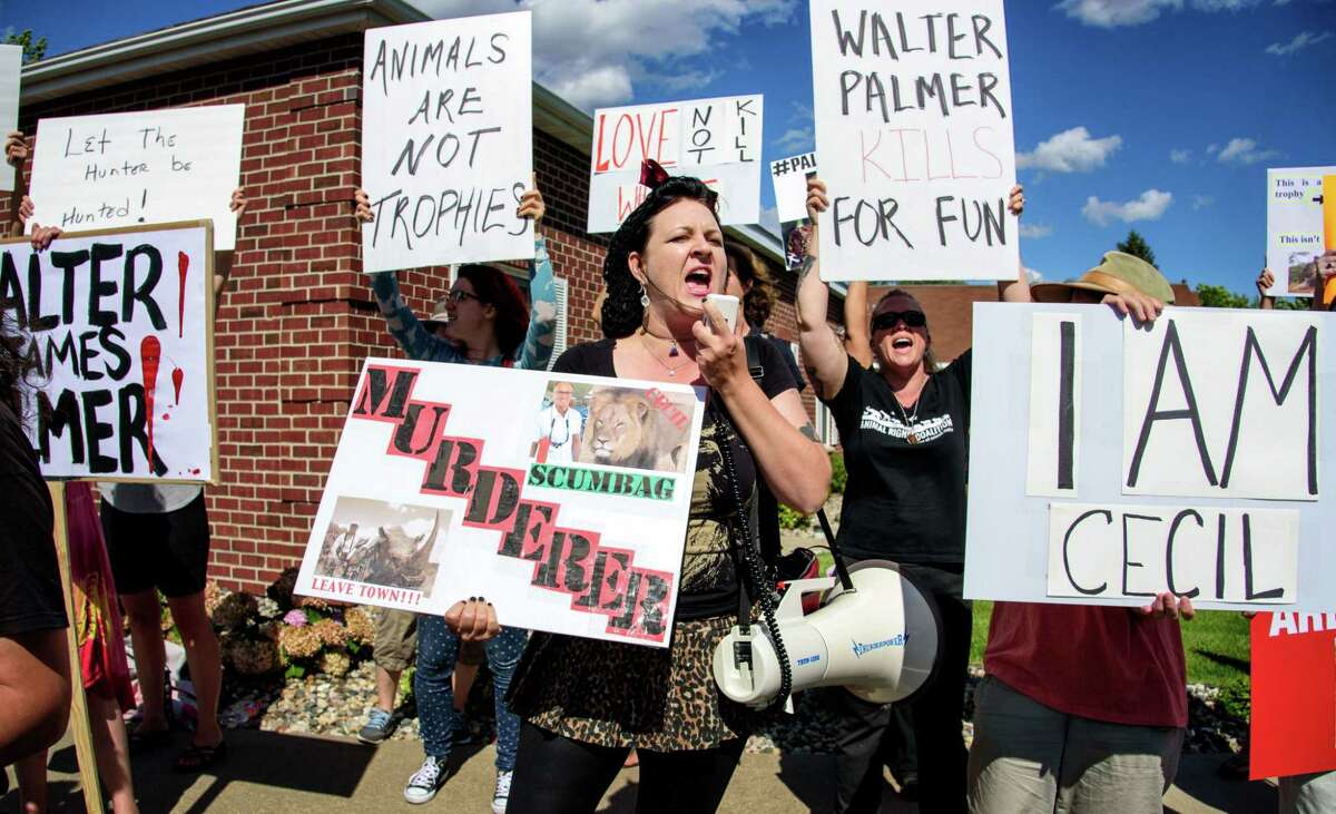 Rachel Augusta led a group of protestors from Animal Rights Coalition and Minnesota Animal Liberation gathered in front of Dr. Walter Palmer’s dental practice on July 29, 2015 in Bloomington, Minn. Palmer has been under fire since his involvement in the death of Cecil the Lion became public.