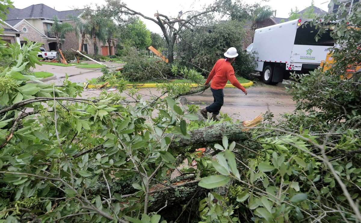 Abel Carre'o of Yellowstone Landscaping clears downed branches in the Sienna Plantation community in Missouri City. Early Saturday morning, Hurricane Harvey spawned a tornado believed responsible for damage to as many as 50 homes in the area﻿.
