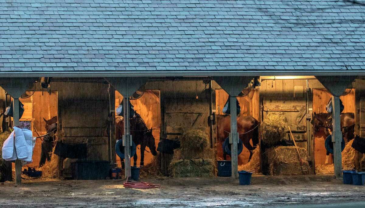 The shed row is very busy in trainer Chad Brown's training barn even in the rain on the Oklahoma Training Center Friday Aug. 17, 2017 in Saratoga Springs, N.Y. (Skip Dickstein/Times Union)