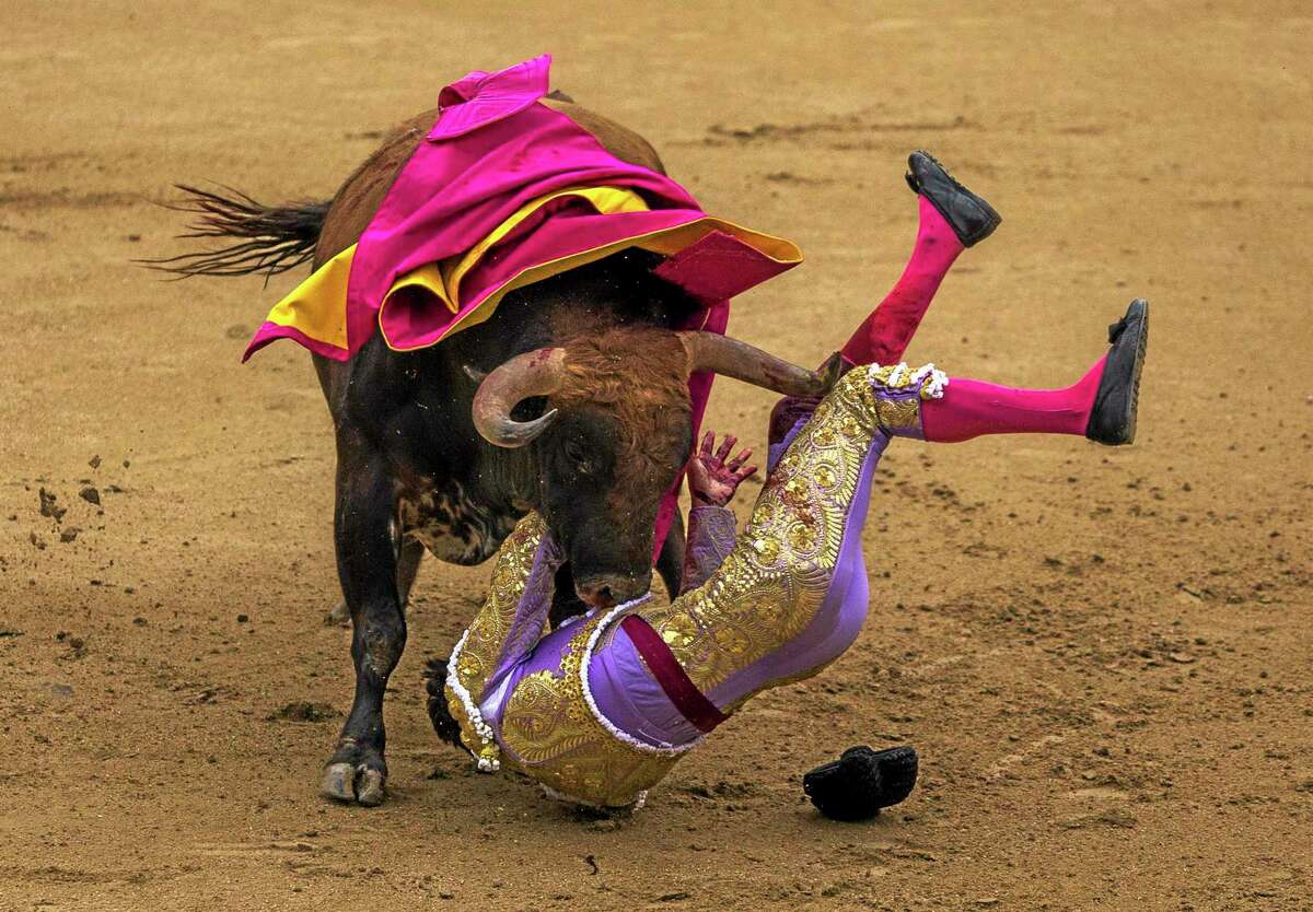 Spanish bullfighter Antonio Nazare is tossed by a Los Chospes ranch fighting bull during a bullfight at Las Ventas bullring in Madrid, Spain, Tuesday, May 20, 2014. Bullfighting is a tradition in Spain and the season runs from March to October. (AP Photo/Andres Kudacki)