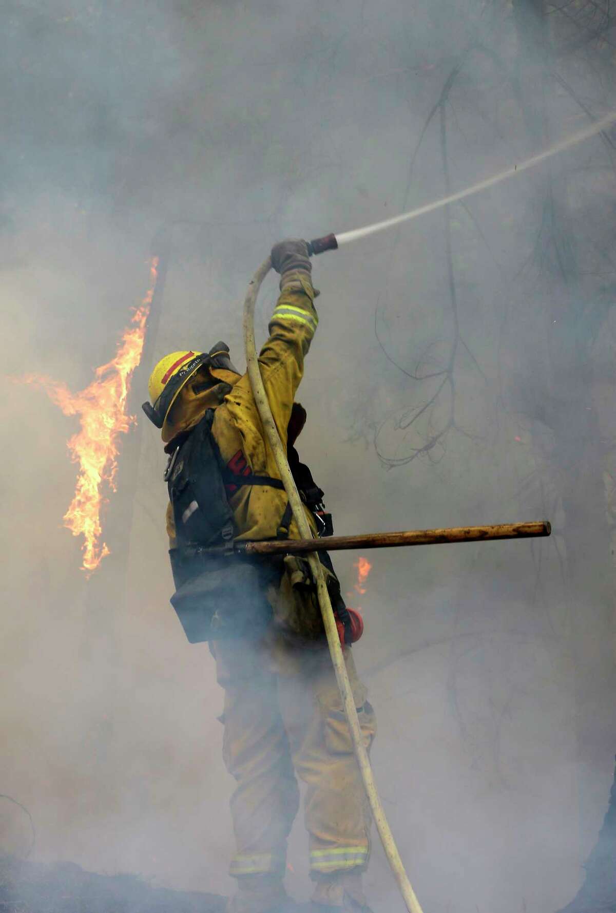 A firefighter puts water on a burning tree as flames approach a containment line, while fighting the King fire near Fresh Pond, Calif., Thursday, Sept. 18, 2014.