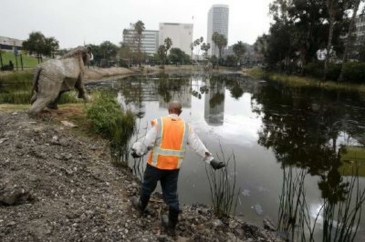 Victor Ball sprinkles mosquito repelling granules along Lake Pit outside the George C. Page Museum at the La Brea Tar Pits on Wednesday, Oct. 23, 2013, in Los Angeles.