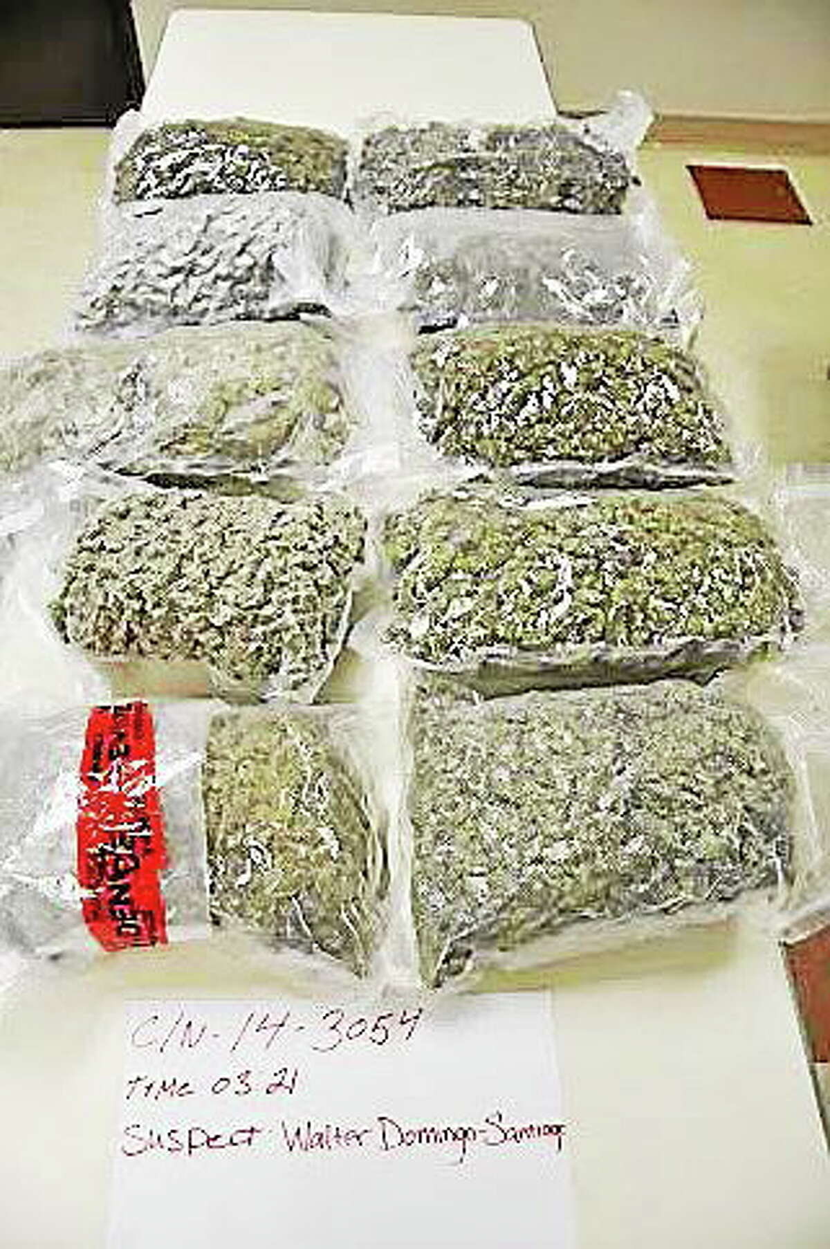 The bags of marijuana found inside Domingo-Santiago’s car.