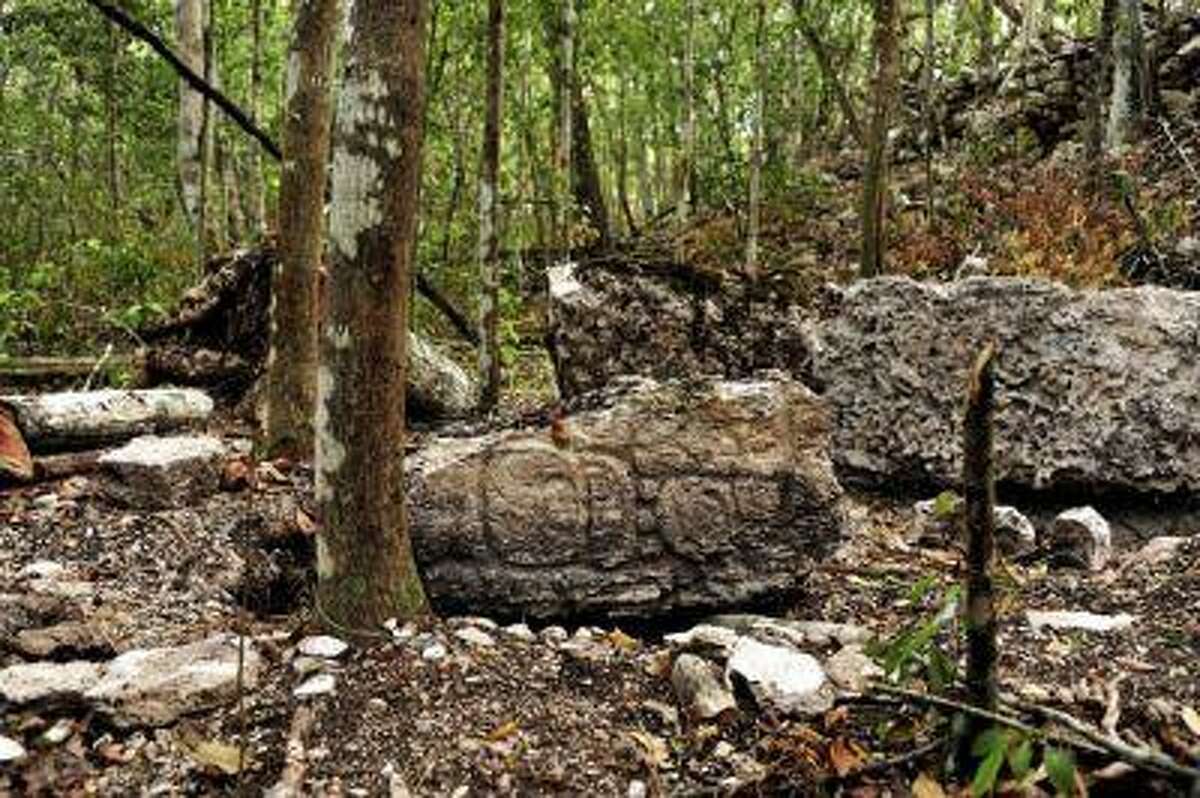 Sculpted stone shafts called stelae are pictured at the newly discovered ancient Maya city Chactun in Yucatan peninsula in this May 31, 2013 handout picture by National Institute of Anthropology and History (INAH) made available to Reuters June 18, 2013. Archaeologists have found the ancient Maya city that remained hidden for centuries in the rain forests of eastern Mexico, a discovery in a remote nature reserve they hope will yield clues about how the civilization collapsed around 1,000 years ago. REUTERS/INAH/Handout via Reuters (MEXICO - Tags: ENVIRONMENT SOCIETY TRAVEL) ATTENTION EDITORS - THIS IMAGE WAS PROVIDED BY A THIRD PARTY. FOR EDITORIAL USE ONLY. NOT FOR SALE FOR MARKETING OR ADVERTISING CAMPAIGNS. THIS PICTURE IS DISTRIBUTED EXACTLY AS RECEIVED BY REUTERS, AS A SERVICE TO CLIENTS