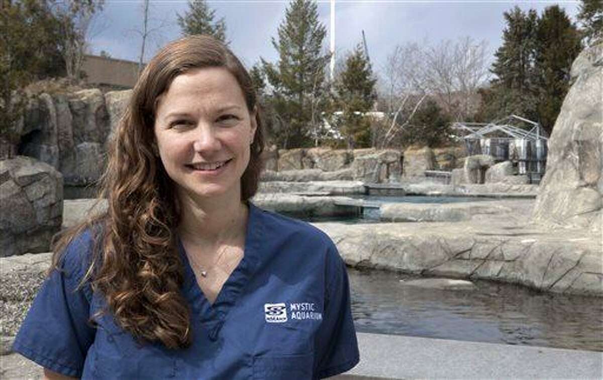 In this Wednesday, March 27, 2013 photo, Mystic Aquarium veterinarian Allison D. Tuttle poses at the aquarium in Mystic, Conn. Tuttle helped perform the amputation of one of the two hind flippers an 8-month old female harbor seal, known as Pup 49, and is supervising the mammal's recovery. (AP Photo/Rodrique Ngowi)