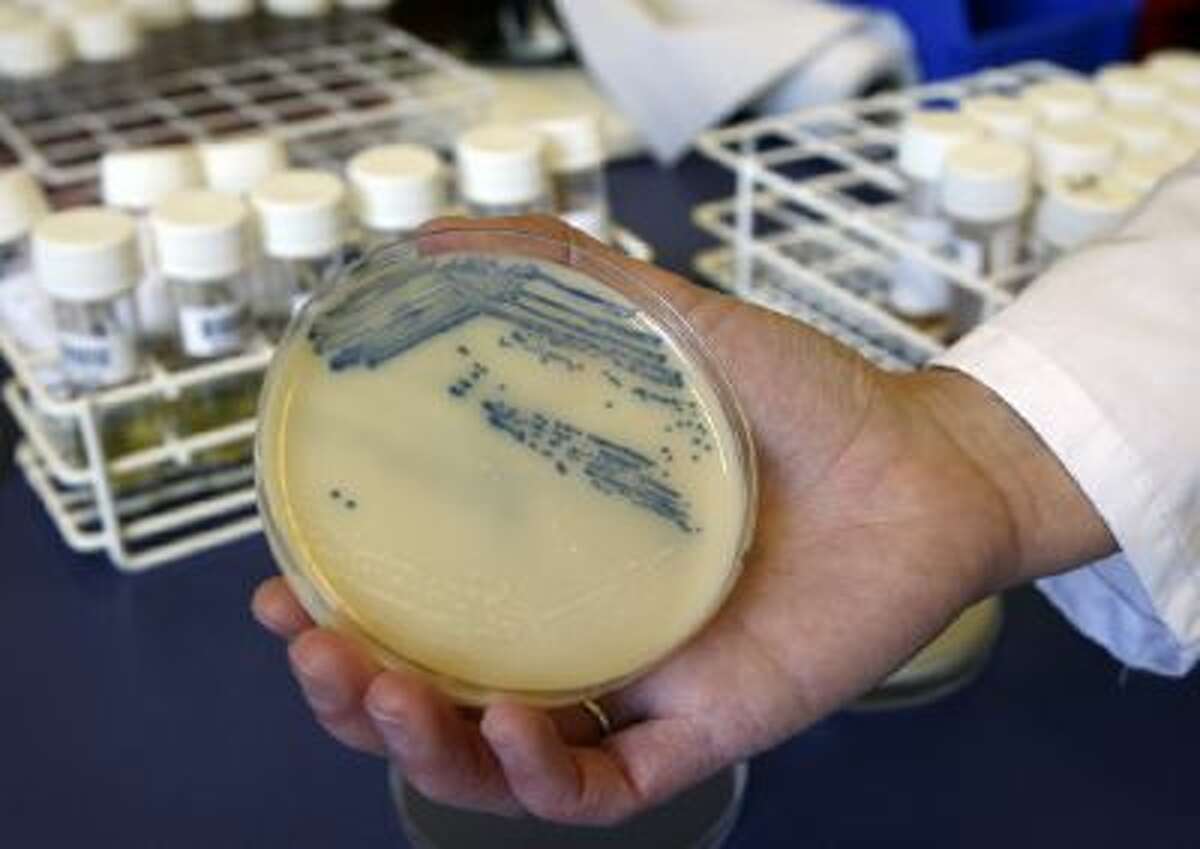A microbiologist holds a petri dish.