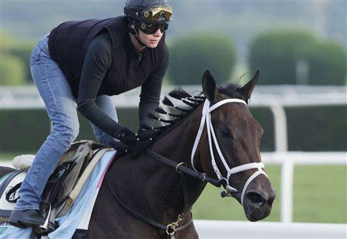 Unlimited Budget gallops on the track at Belmont Park during a morning workout Thursday, June 6, 2013 in Elmont, N.Y. The filly is entered in Saturday's Belmont Stakes horse race. (AP Photo/Mark Lennihan)