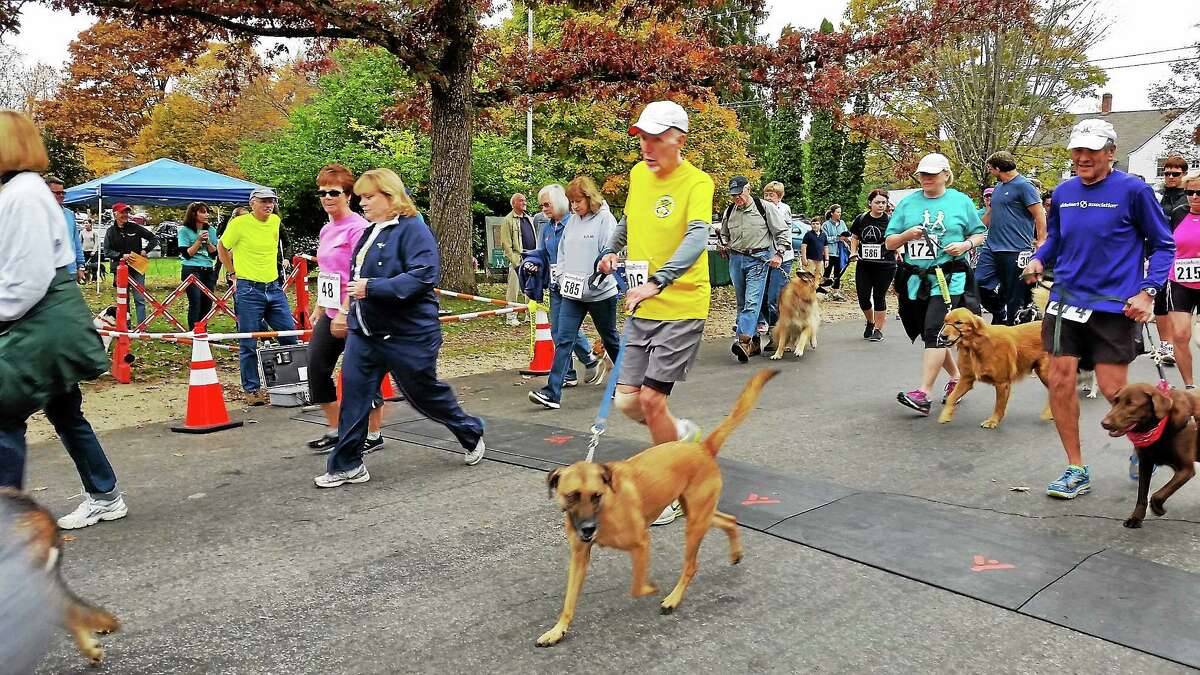 West Cornwall's Little guild to hold Run & Wag 5K