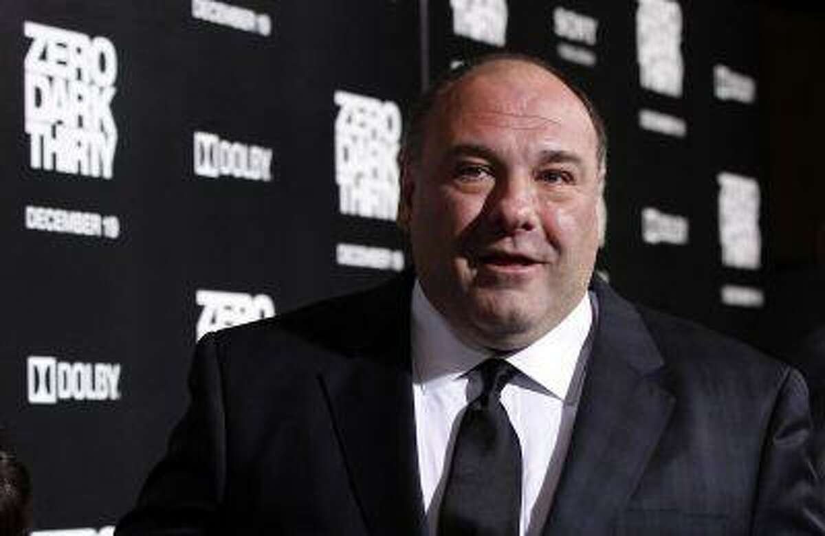 Cast member and "Sopranos" star James Gandolfini poses at the premiere of "Zero Dark Thirty"at the Dolby theatre in Hollywood, Calif. December 10, 2012.