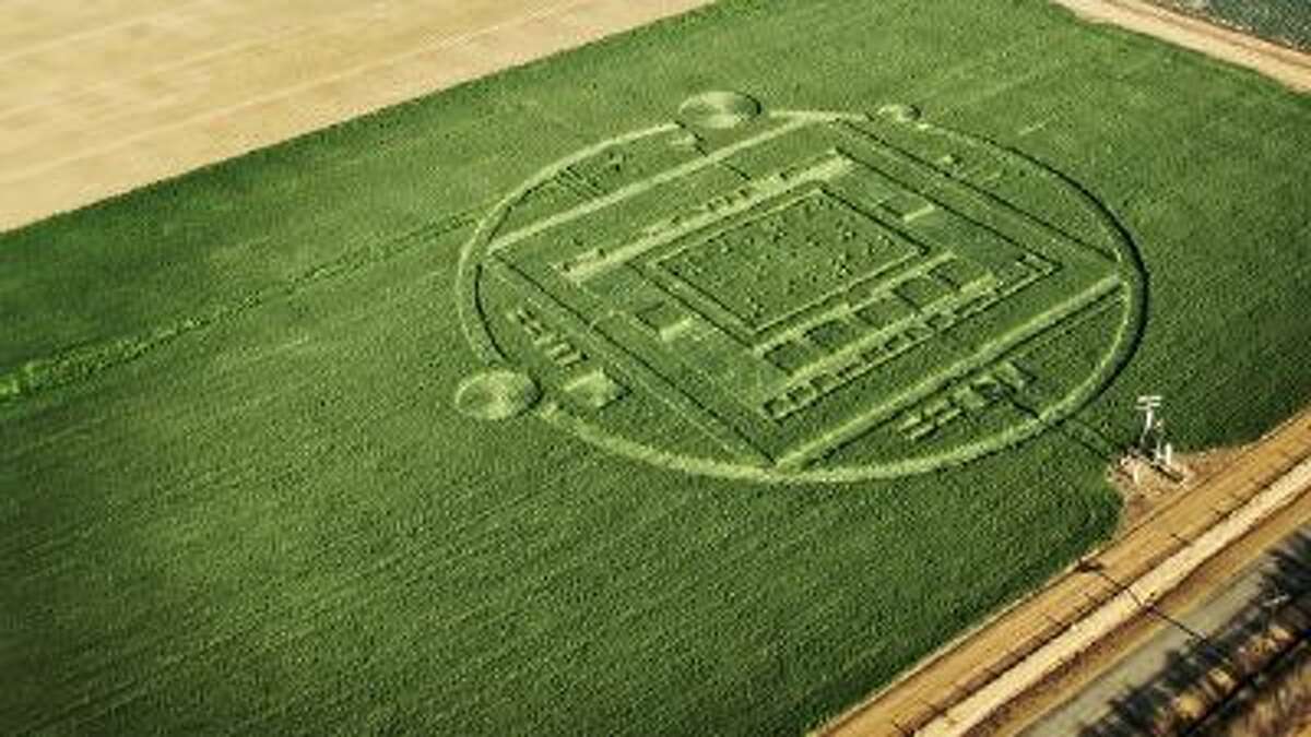 This photo provided by NVIDIA shows the 310-foot ?crop circle? in a California barley field that mystified locals this week.