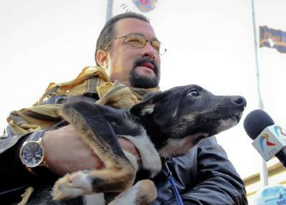 A picture taken on Sunday, Nov. 17, 2013 shows U.S. actor Steven Seagal holding Grivei, a stray dog he adopted from the Dogtown dog shelter in Uzunu, south of Bucharest, Romania.