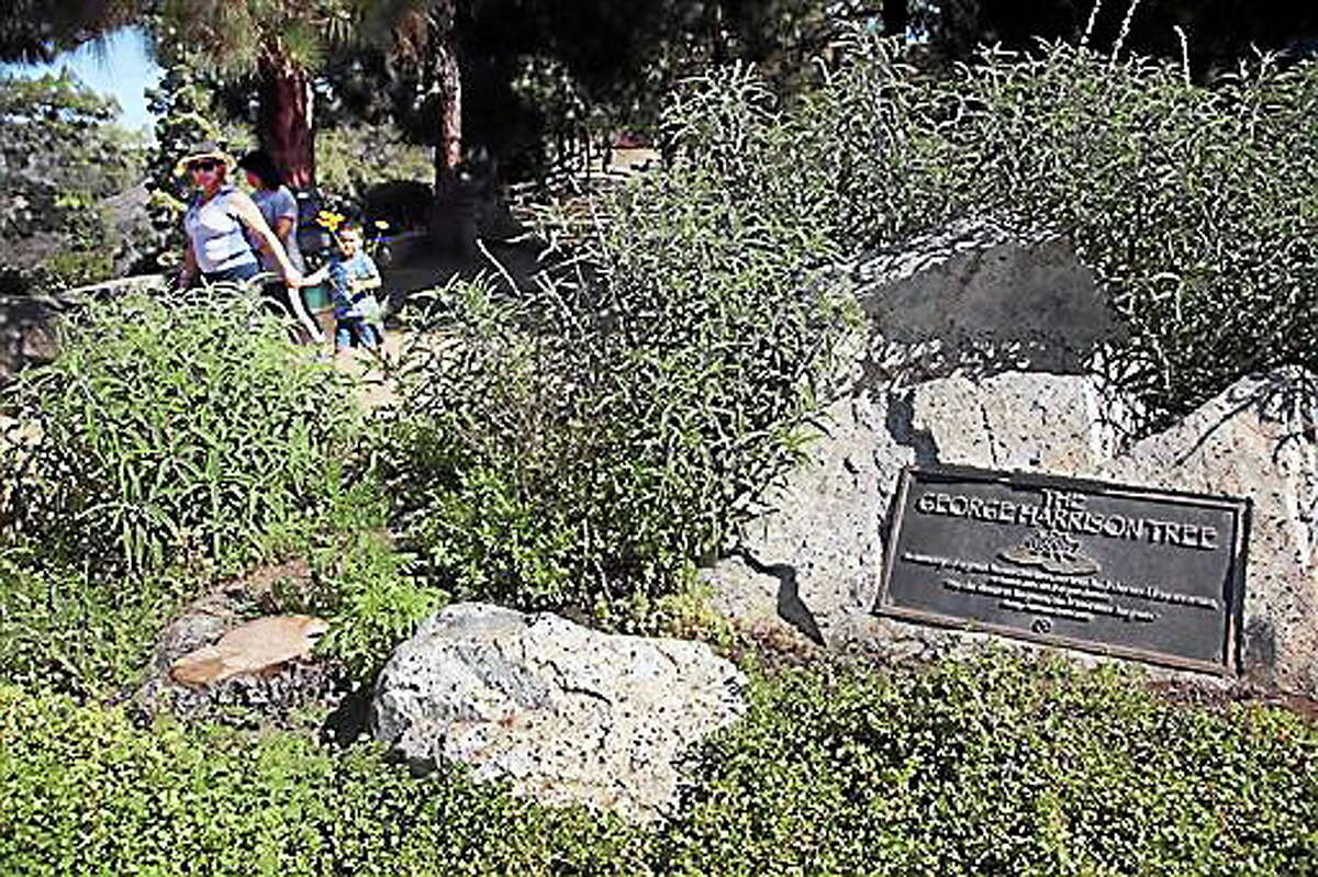 Visitors walk past a plaque marking the George Harrison Tree, in Griffith Park on Tuesday, July 22, 2014. The tree planted in Los Angeles to honor former Beatle George Harrison has been killed by beetles. The pine grew to more than 12 feet tall before succumbing to a bark beetle infestation and removed last month. (AP Photo)