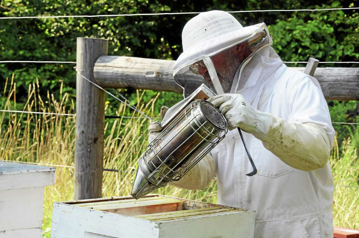 Photographs by Laurie Gaboardi beekeeper and bees