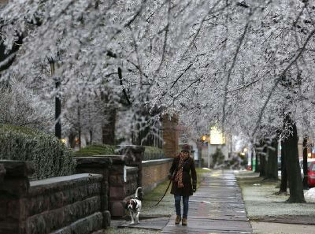 A woman walks her dog beneath ice-covered trees on Sunday, Dec. 22, in Buffalo, NY.