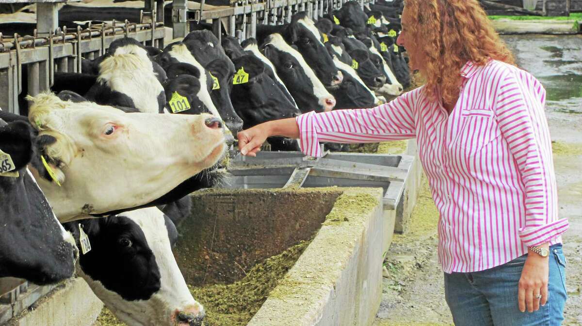 U.S. Rep. Elizabeth Esty at Freund’s Dairy Farm in East Canaan Friday.