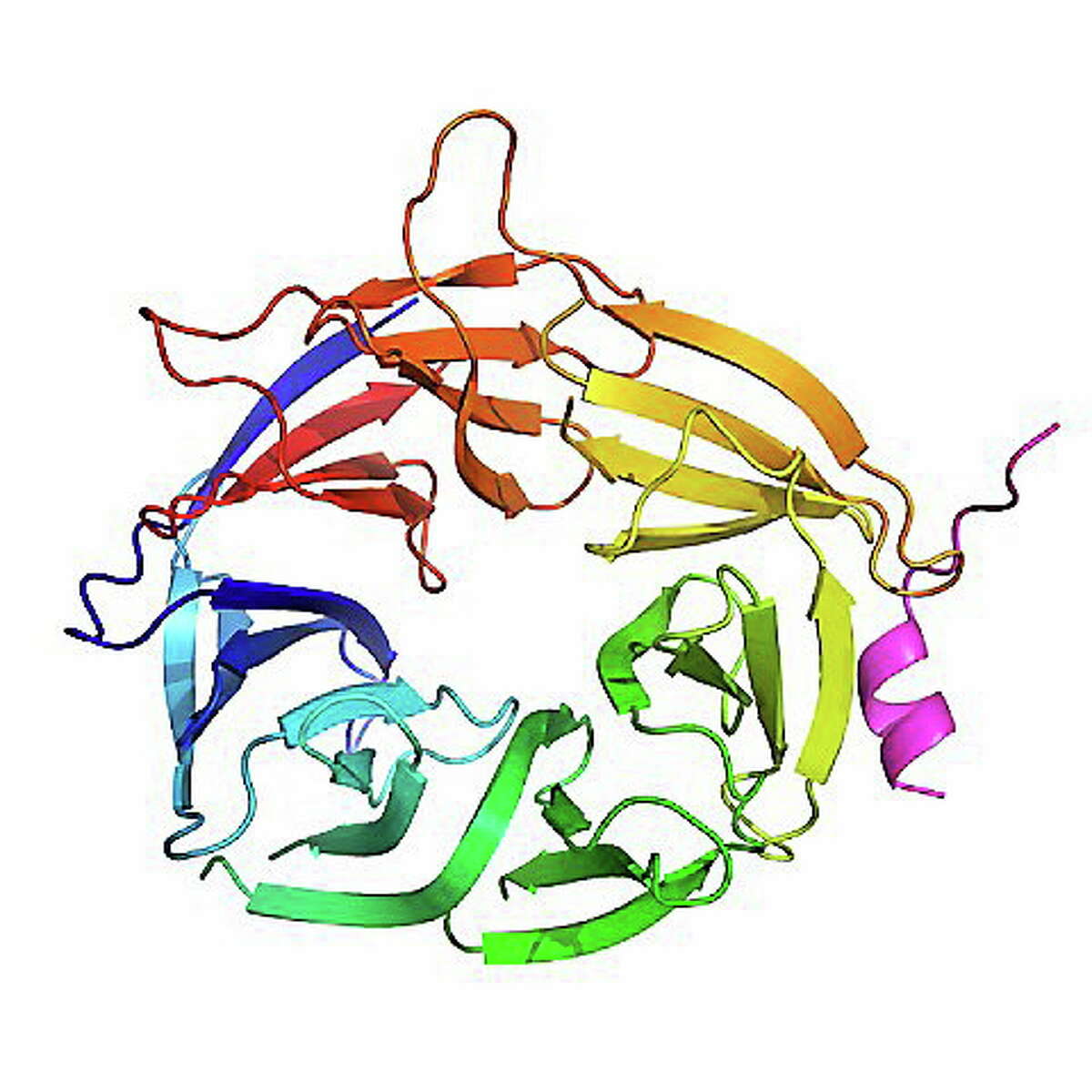 PALB2 protein as it bonds to, and interacts with, BRCA2.
