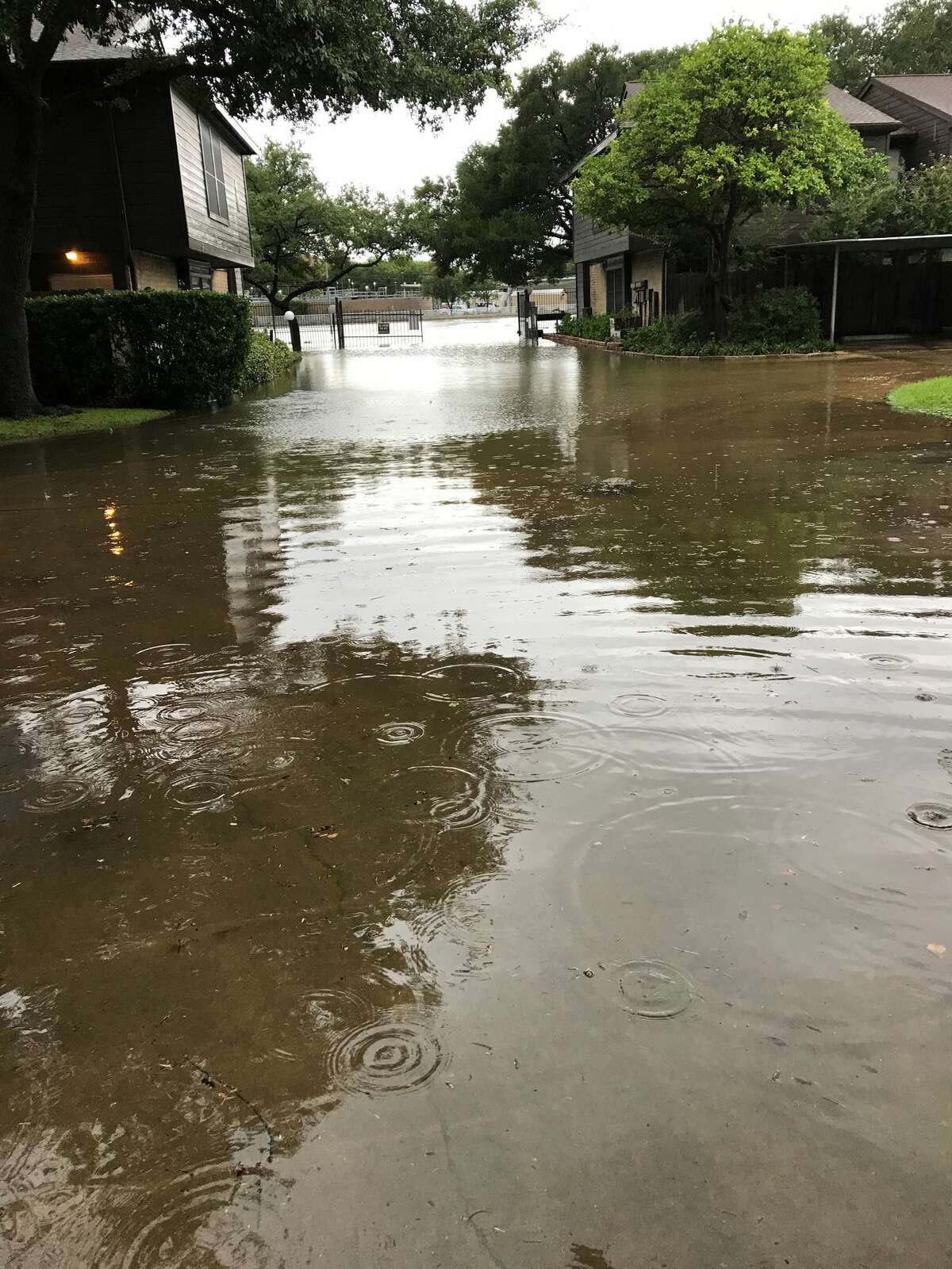 A reader submitted this photo of flooding on Braeswood, near Kirby.