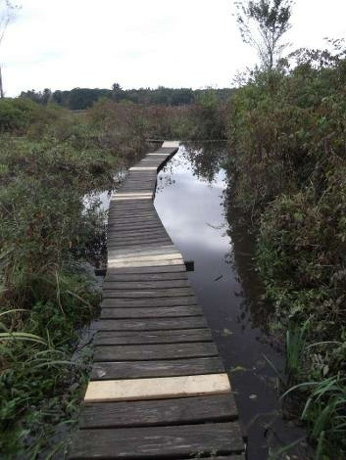 By KAITLYN YEAGER White Memorial Foundation's boardwalk, which leads hikers through its popular Little Pond area, is partially repaired.