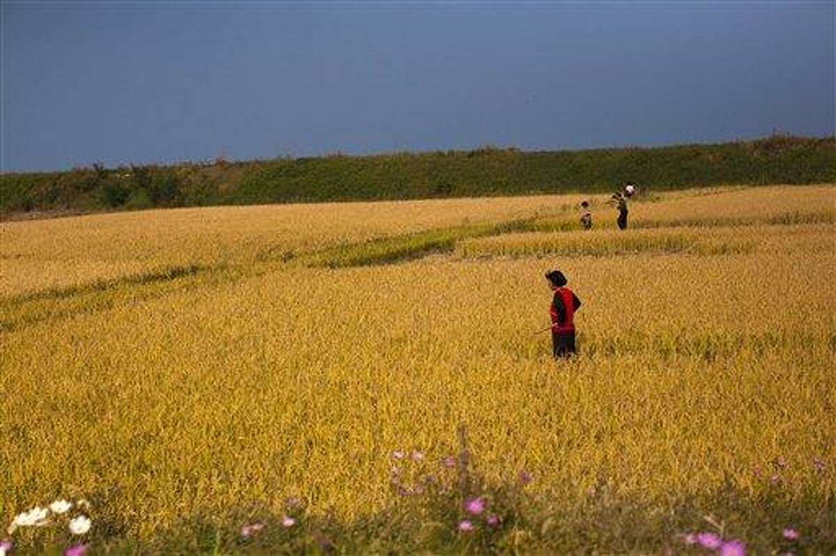 In this Saturday, Oct. 8, 2011 photo, farmers stand in a field outside the eastern coastal city of Wonsan, North Korea. In a landmark shift after three years of tensions, the United States is poised to announce in the coming days its first significant donation of food aid to North Korea _ a small but symbolic offer that is expected to pave the way for long-stalled discussions on dismantling Pyongyang's nuclear program. (AP Photo/David Guttenfelder)