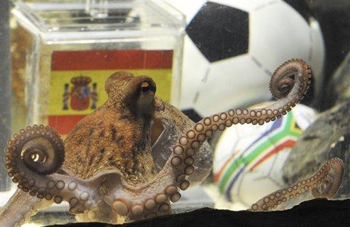 Paul the 'psychic' octopus wins again in World Cup final