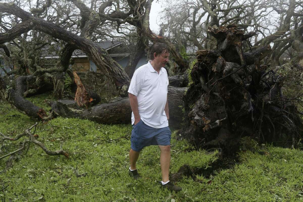 Mike Papasan, 60, surveys the damage to his property in Fulton, Texas, Monday, August 28, 2017. Oak tress estimated to be 200-years-old, were damaged by Hurricane Harvey. Their house sustained minimal damage.