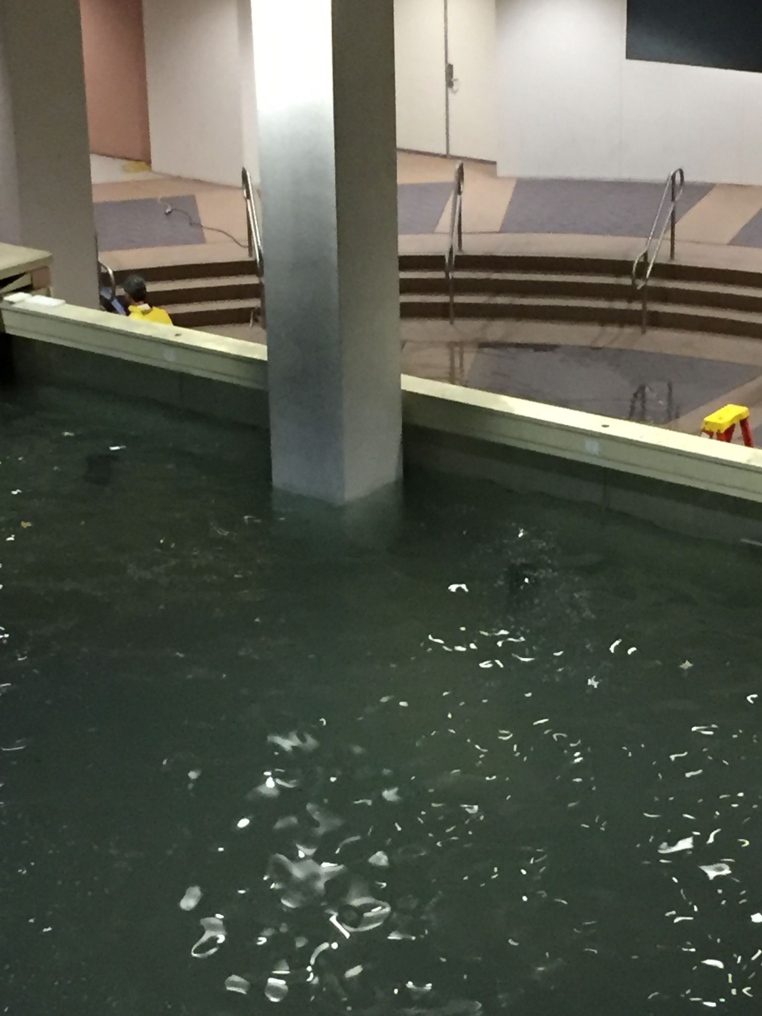 Joel Osteen's Lakewood Church answers why it isn't open as a shelter